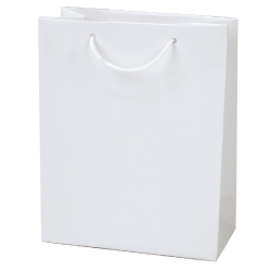 Paper Shopping Bags A4 V